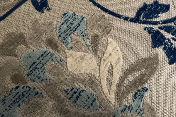 Professional carpet cleaning service