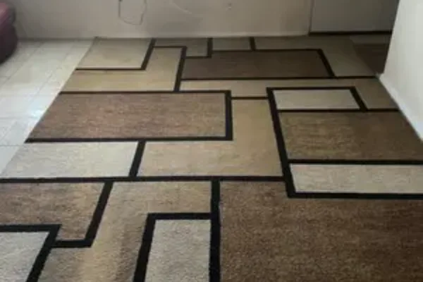 Professional rug cleaning in Orlando, FL
